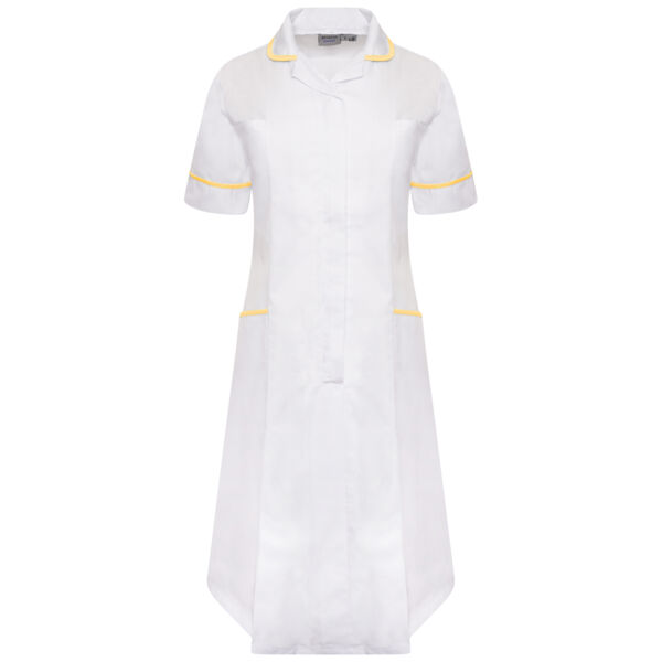 Ladies Dress Thumbnail